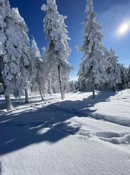 Winter days Stock-Fotos