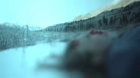 Winter Death Stock Footage 248339593