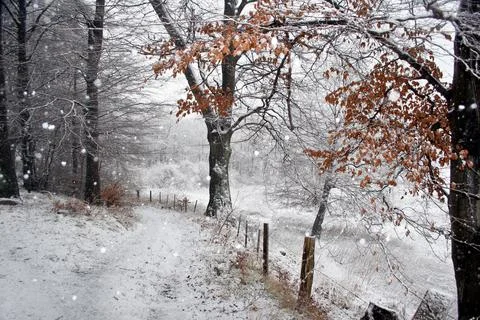 Winter in Denmark Foto stock