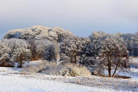 Winter in Denmark Stock Photos