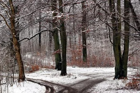 Winter in Denmark Stock Photos