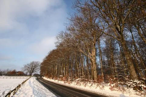 Winter in Denmark Stock Photos