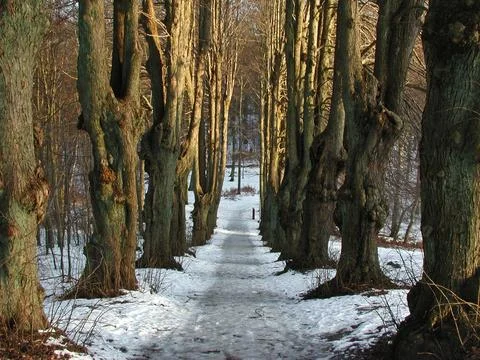 Winter in Denmark Stock Photos