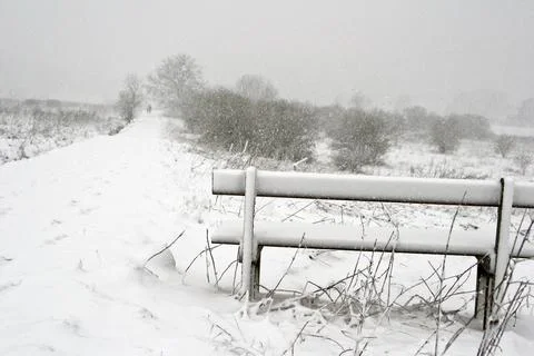Winter in Denmark Foto stock