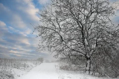 Winter in Denmark Stock Photos
