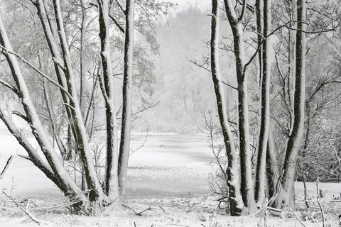 Winter in Denmark Foto stock
