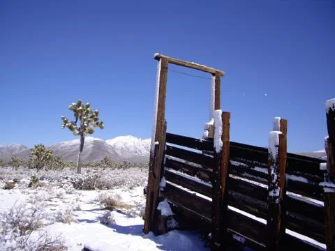 Winter desert Stock Photos