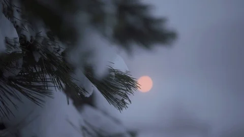 Winter details Stock Footage 120759296