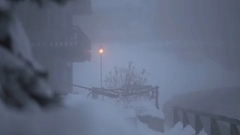 Winter details Stock Footage 120759481