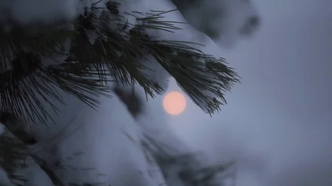 Winter details Video stock 120775937