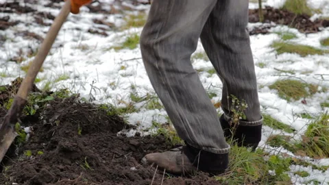 In winter dig a hole with a shovel Stock Footage 137005918