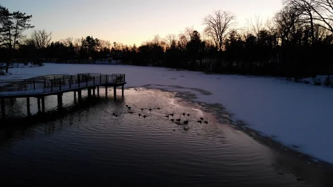 Winter Dock With Ducks Flying Away Video stock 129773992
