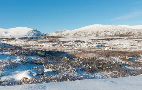 Winter dovrefjell Stock Photos