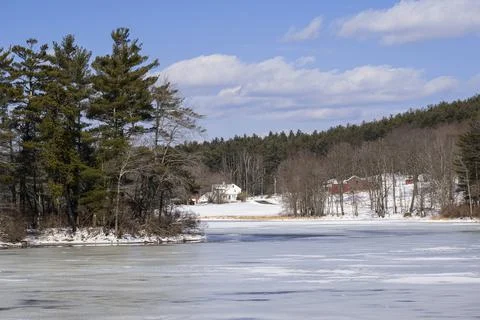 Winter down by the pond Foto stock