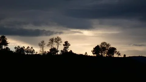 Winter dramatic sunset behind rain clouds and pine trees. 4k P1120621 Stock Photos