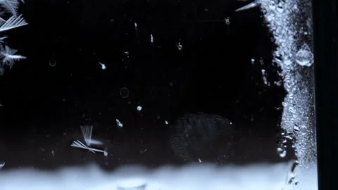 Winter draws magic patterns Stock Footage 88450353