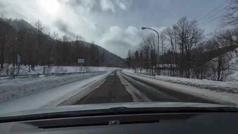 Winter Drive POV Passing Wild Deer on Roadside in Furano Hokkaido Japan Vídeo Stock 333696771