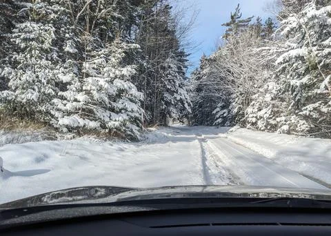 Winter Drive Through Snowy Forest with Fresh Tire Tracks Stock Photos