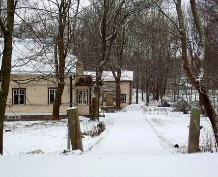 Winter Driveway Stock Photos