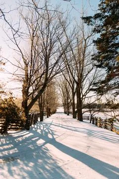 Winter Driveway Sunset Stock-Fotos