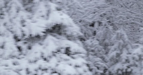 Winter Driving - driving through a snowy forest - hand-held shot Vidéo 84302928