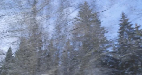 Winter Driving - driving through a snowy mixed forest Vídeos de archivo 110998950