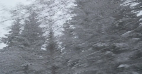 Winter Driving - driving through a snowy mixed forest Vídeos de archivo 111199779