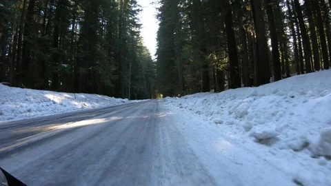 Winter driving Oregon forest. Stock Footage 146753676