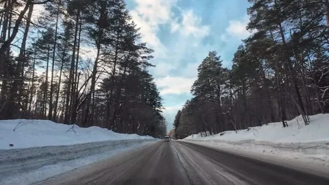 Winter Driving POV Through Evergreen Pine Forest Hokkaido Japan Vídeo Stock 333702138