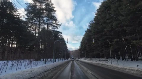 Winter Driving POV Through Pine Forest Toward Furano Hokkaido Japan Stock Footage 333697867