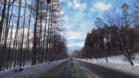Winter Driving POV Through Pine Forest Toward Furano Hokkaido Japan Stock Footage 333698388