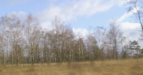 Winter driving sequence - driving on a bumpy road on a winter day Vídeo Stock 112005478