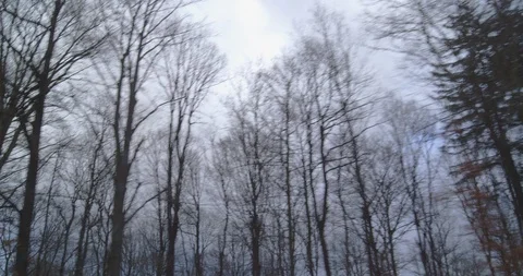 Winter driving sequence - driving on a country road on a winter day Stock-Footage 111569107