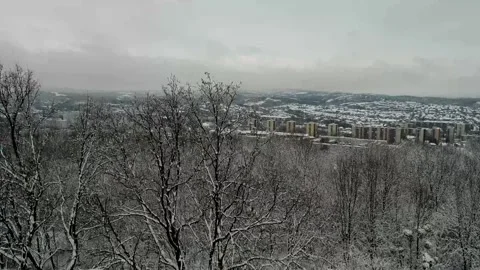Winter drone ascent in front of tree with City skyline and Soviet-style 4K Stock Footage 313343708