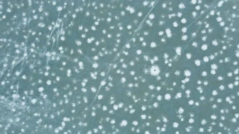 Winter Drone Footage Vídeo Stock 258531277