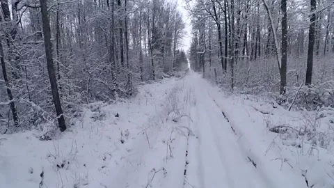Winter drone FPV flight on a snowy weather. Stock Footage 147055588