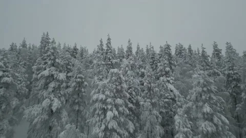 Winter. Drone's flight over snow-covered mountains, winter landscape Stock Footage 238431073