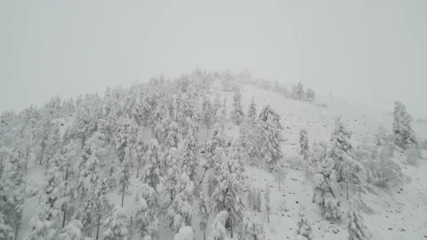 Winter. Drone's flight over snow-covered mountains Stock Footage 238434355