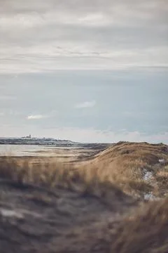 Winter at the dunes in Denmark Stock Photos
