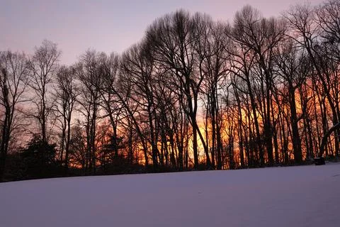 Winter dusk Stock Photos