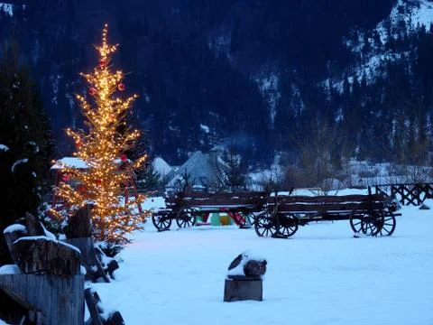 Winter edition Stock Photos