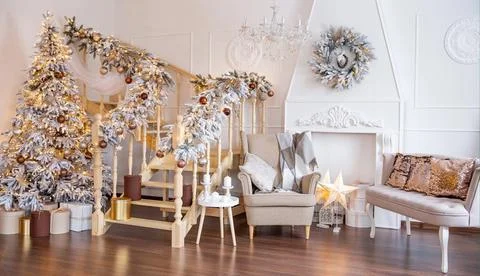 Winter Elegance Stock Photos