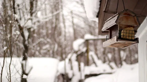 Winter Empty Birdhouse Stockbeeldmateriaal 33996743