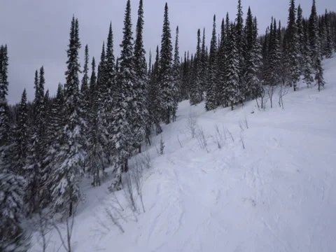 Winter empty narrow ski track between firtrees at mountains forest Stock Footage 71609551