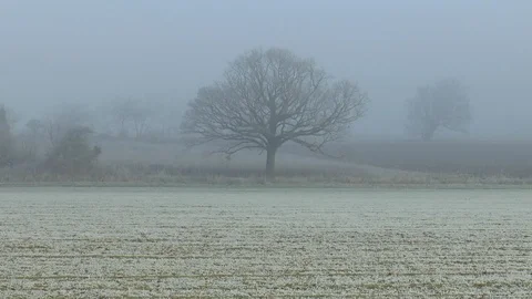 Winter On An English Farm Stock Footage 102218923