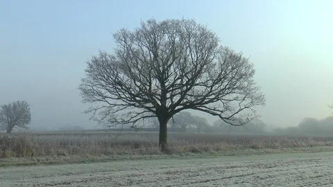 Winter On An English Farm Stock Footage 102274459
