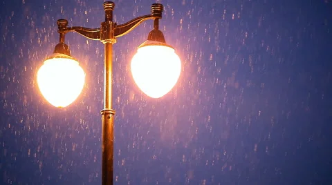 Winter evening in city park 스톡 동영상 59531553