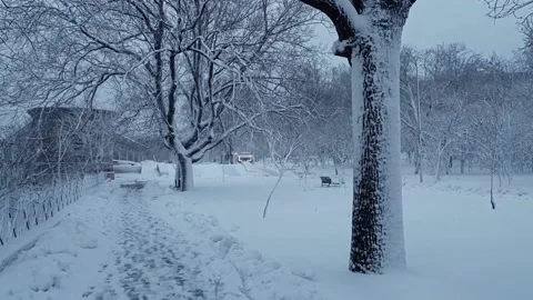 Winter evening. Everything in the city park is covered with snow. Stock Footage 147987128