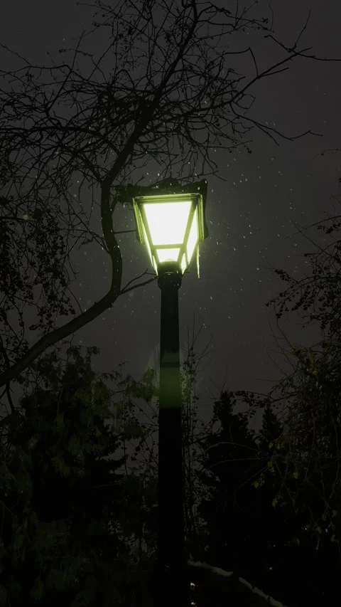 Winter evening Video stock 257656725