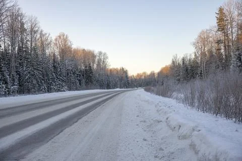 Winter evening on a forest road Foto stock